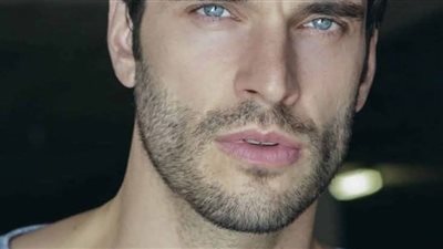 article