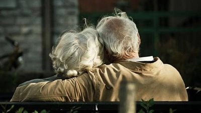 article